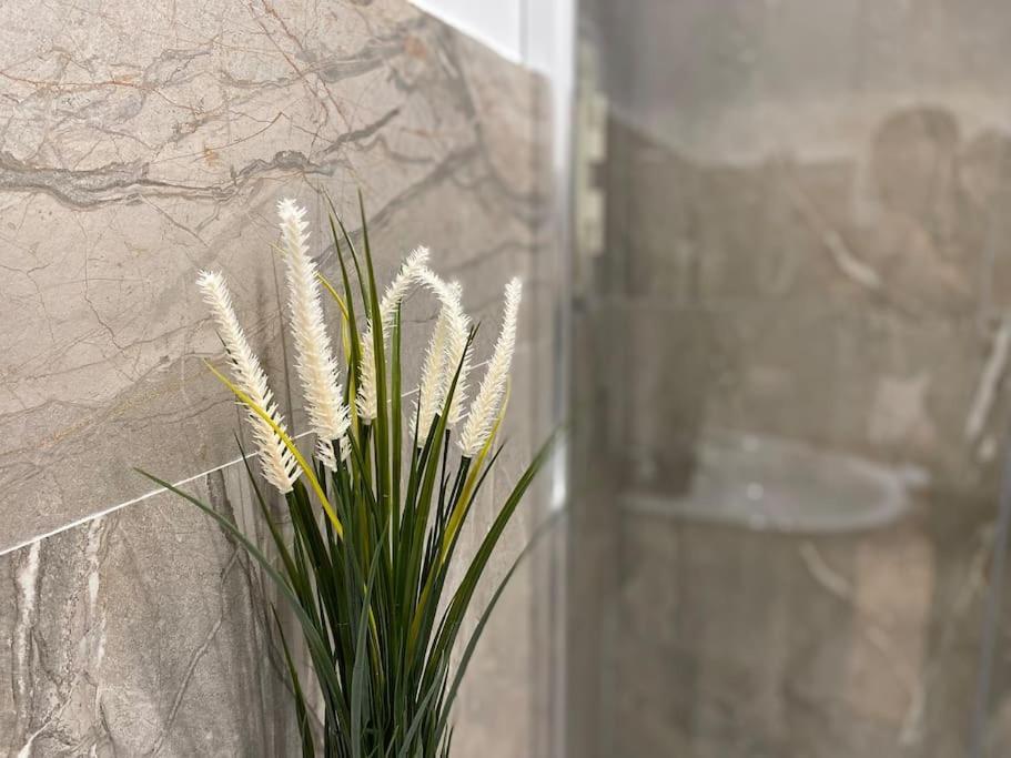 Apartment Umberto 1°